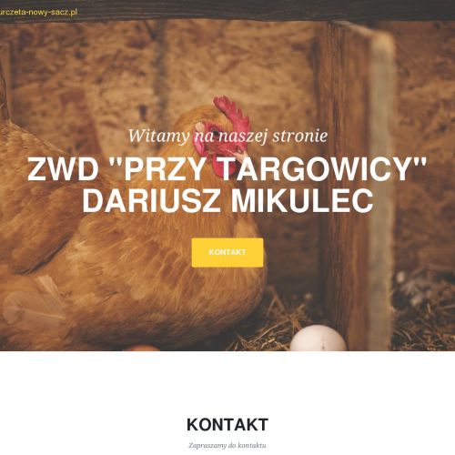 Kury nioski Nowy Sącz