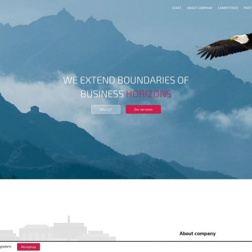 Analiza modelu biznesowego