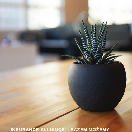 Niezależny agent ubezpieczeniowy - Gdańsk